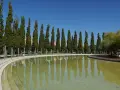 Rząd strzelistych, zimozielonych drzew kolumnowych odbija się w spokojnej tafli wody, tworząc malowniczy krajobraz.