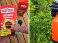 Opakowanie Substral Polysect, które zwalcza mszyce i przędziory, gotowe do użycia w opryskiwaczu.