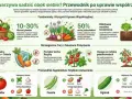 Cebula to świetny sąsiad dla marchwi, pomidorów i ogórków. Chroni przed szkodnikami i poprawia wzrost. Unikaj sadzenia jej obok fasoli.