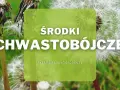 Środki chwastobójcze pomogą Ci pozbyć się niechcianych roślin z ogrodu. Dostępne na sklep.zielonyogrodek.pl.