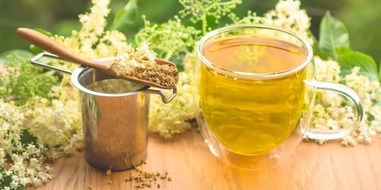 Aromaticzny napar z czarnego bzu, suszone kwiaty na łyżce i metalowe sitko.