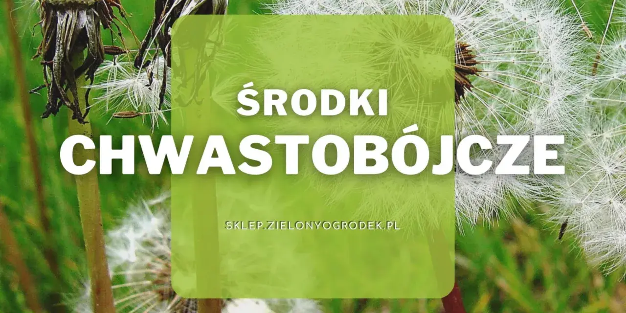 Środki chwastobójcze pomogą Ci pozbyć się niechcianych roślin z ogrodu. Dostępne na sklep.zielonyogrodek.pl.