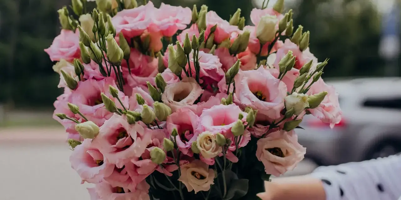 Piękny eustoma bukiet w odcieniach różu i bieli, z licznymi pąkami, gotowy do wręczenia.
