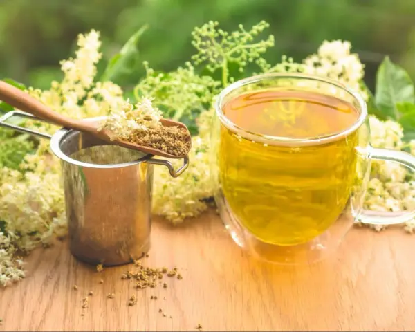 Aromaticzny napar z czarnego bzu, suszone kwiaty na łyżce i metalowe sitko.