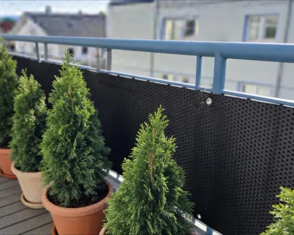 Rząd zielonych, stożkowatych roślin, przypominających tuje kuliste, w doniczkach na balkonie.