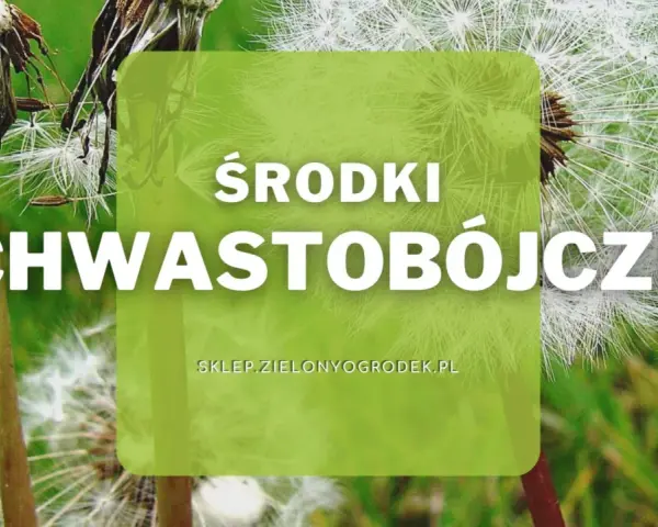 Środki chwastobójcze pomogą Ci pozbyć się niechcianych roślin z ogrodu. Dostępne na sklep.zielonyogrodek.pl.