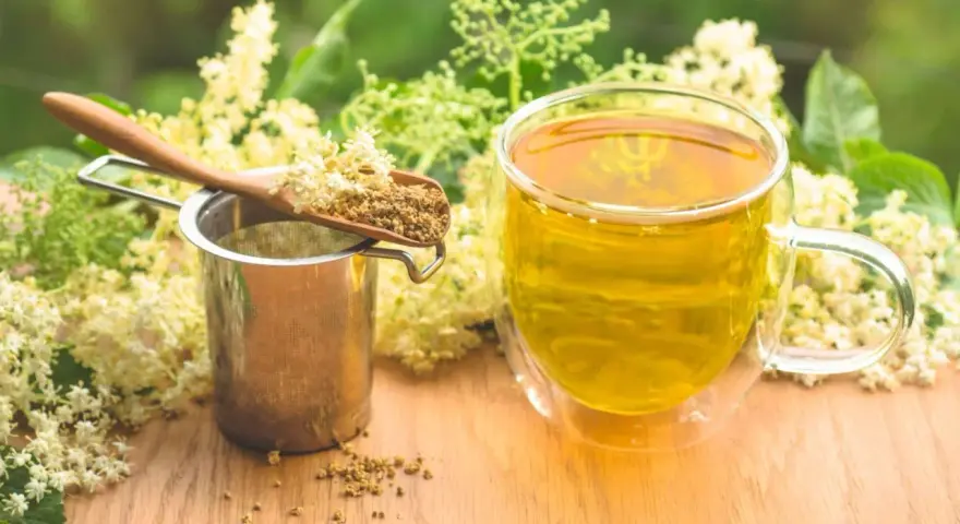 Aromaticzny napar z czarnego bzu, suszone kwiaty na łyżce i metalowe sitko.