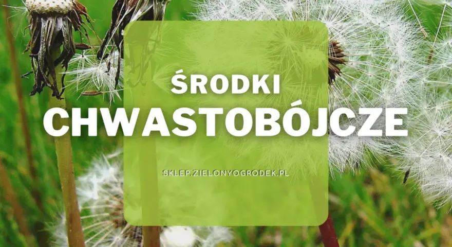 Środki chwastobójcze pomogą Ci pozbyć się niechcianych roślin z ogrodu. Dostępne na sklep.zielonyogrodek.pl.