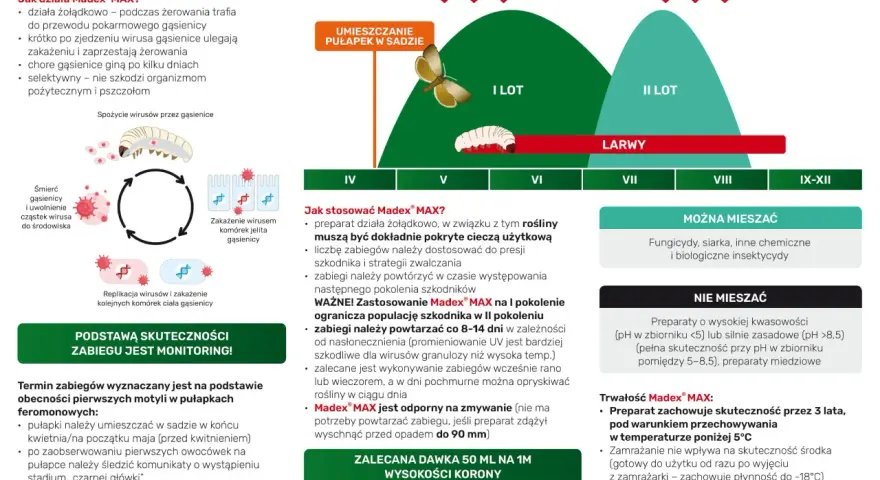 Madex® MAX zwalcza gąsienice, działając żołądkowo. Preparat jest skuteczny i bezpieczny dla pożytecznych owadów.